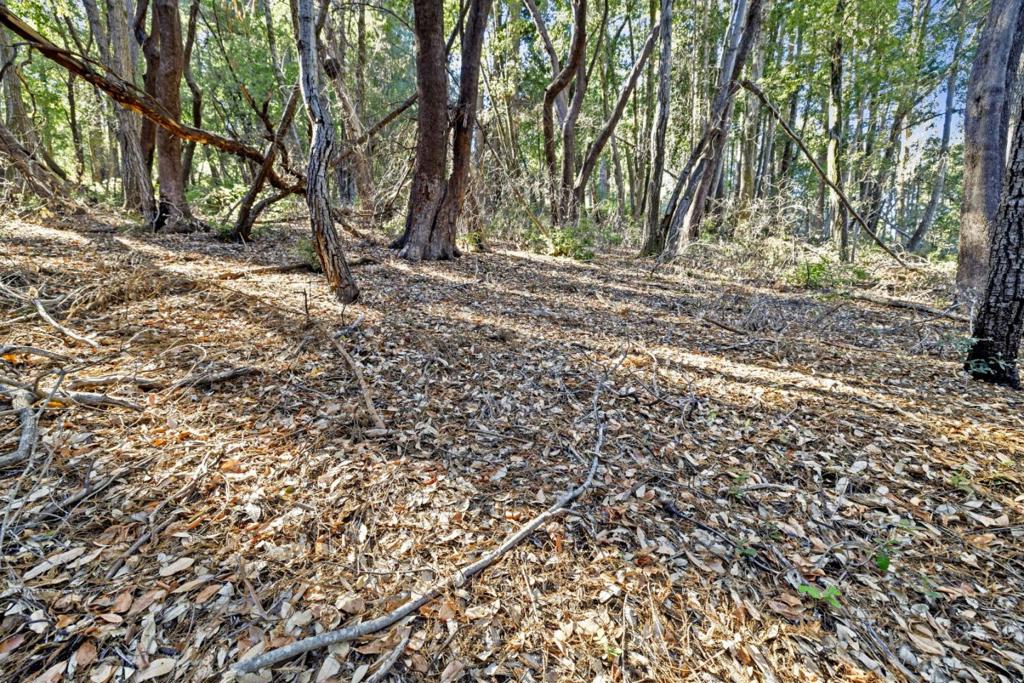 MLS #ML81986063 image #11