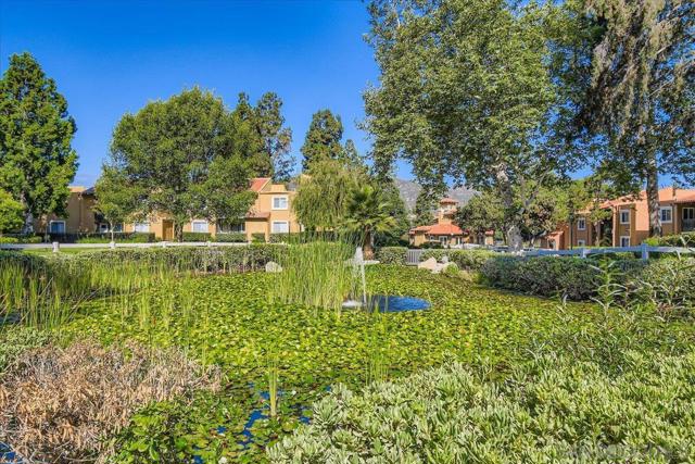 17147 W W Bernardo Dr, San Diego CA: https://media.crmls.org/mediaz/6b85d987-4eb6-400d-9250-5a388572e60c.jpg