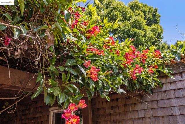 3019 Benvenue Ave, Berkeley CA: https://media.crmls.org/mediaz/6b88e0ca-bcbc-4c9c-b34b-47384621b070.jpg