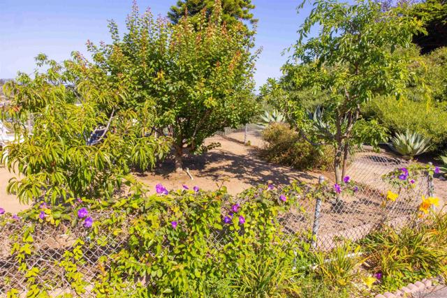 444 N El Camino Real, Encinitas CA: https://media.crmls.org/mediaz/6b989fd7-e97d-4b0c-8abe-3eb938460117.jpg