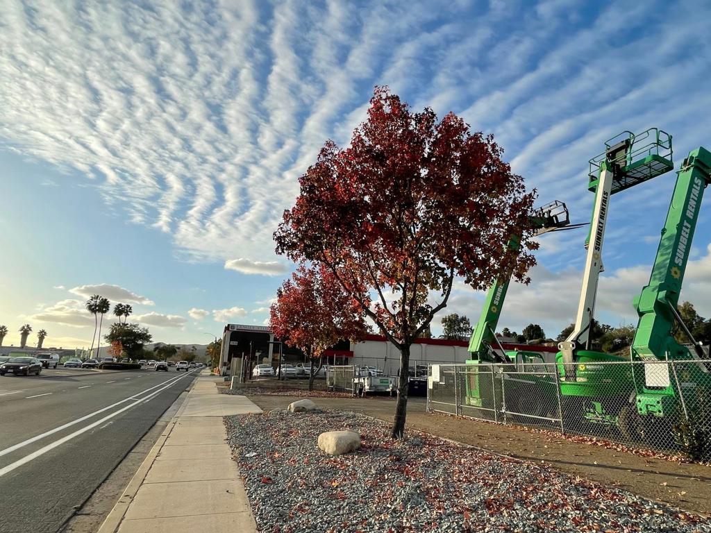 MLS #PTP2106047 image #8