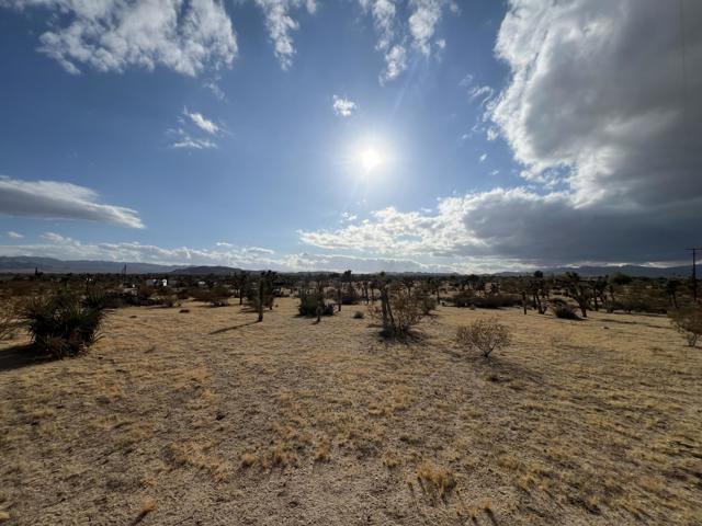 0 Campanula Street, Yucca Valley CA: https://media.crmls.org/mediaz/6b9f6baa-7f26-4bf3-9dfe-278735d6d72d.jpg