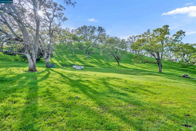 Image 15 of 29 For 3300 Bragdon Way