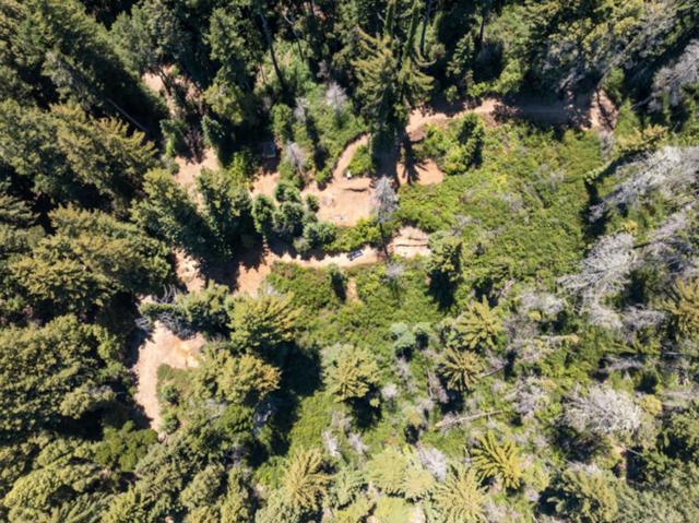 2472 Fanning Grade, Ben Lomond CA: https://media.crmls.org/mediaz/6bae684b-d093-45b3-ac2d-5f132e57fd13.jpg