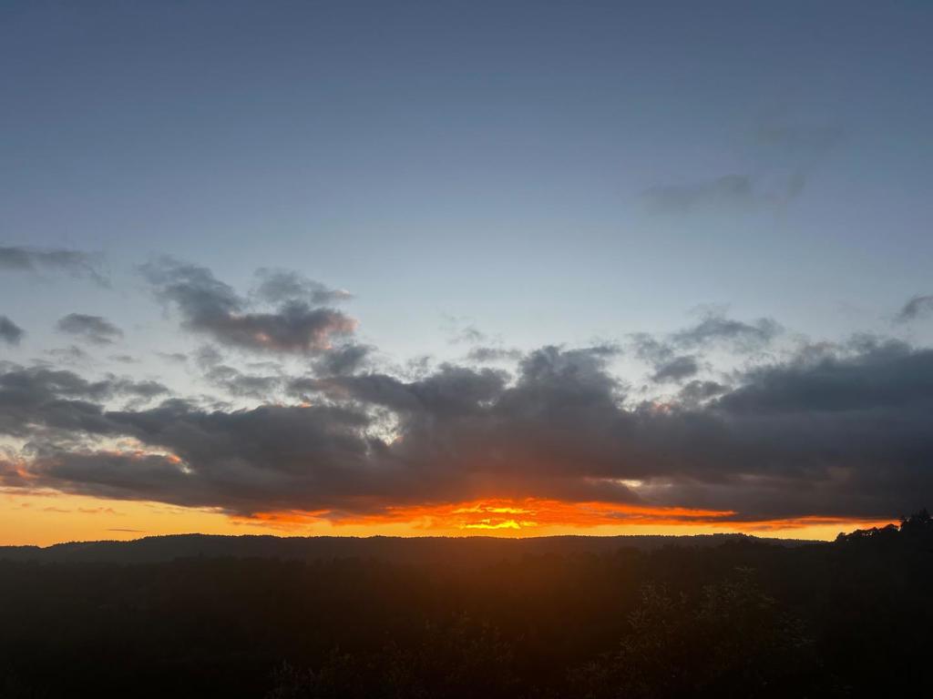 https://media.crmls.org/mediaz/6bb67665-987b-44ae-8340-6f650da19046.jpg?preset=X-Large