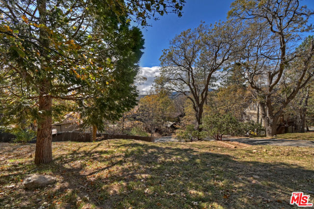 28665 Zion Drive, Lake Arrowhead CA: https://media.crmls.org/mediaz/6bba2e2a-efef-4a95-a678-c326fa0c3af1.jpg