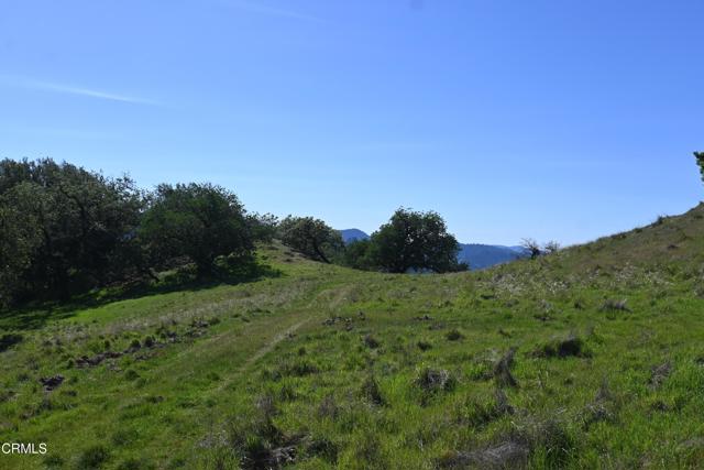 Detail Gallery Image 31 of 59 For 24051 Fig Tree Ln, Yorkville,  CA 95494 - – Beds | – Baths