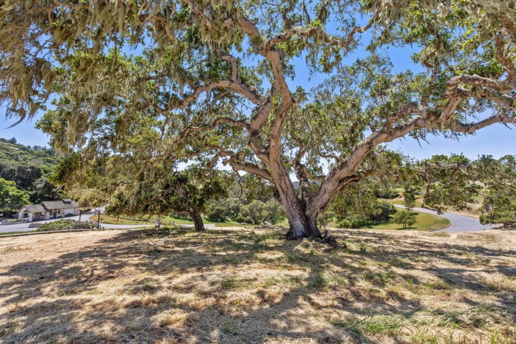 MLS #ML82008159 image #7