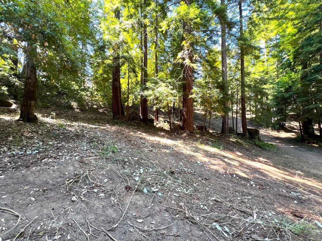 MLS #ML81973209 image #37