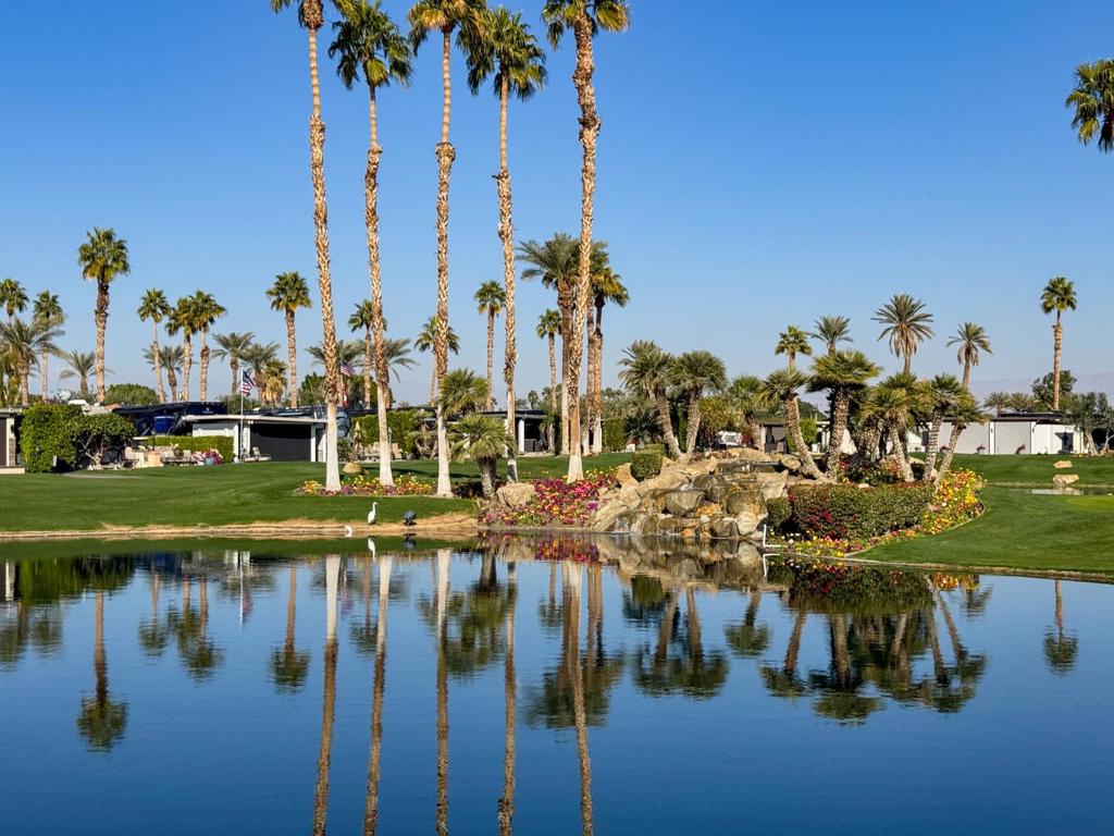 MLS #219138361DA image #4