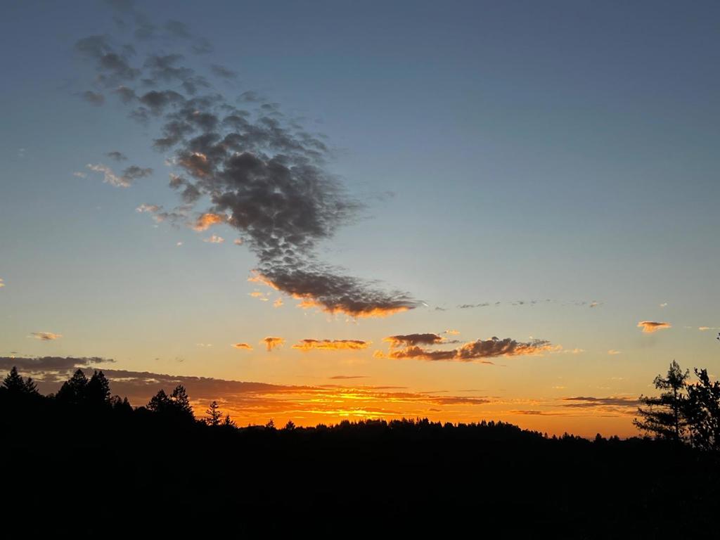https://media.crmls.org/mediaz/6bf050f5-d43a-4786-a1f2-6a7c86651377.jpg?preset=X-Large