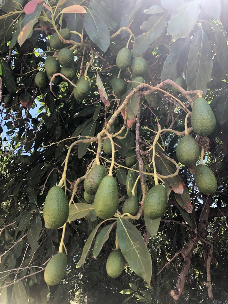 MLS #NDP2507535 image #72