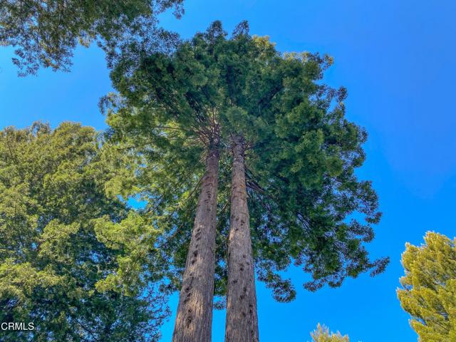 15137 Mitchell Creek Drive, Fort Bragg CA: https://media.crmls.org/mediaz/6c0b40fe-5912-4490-9f03-08602a1f07c7.jpg