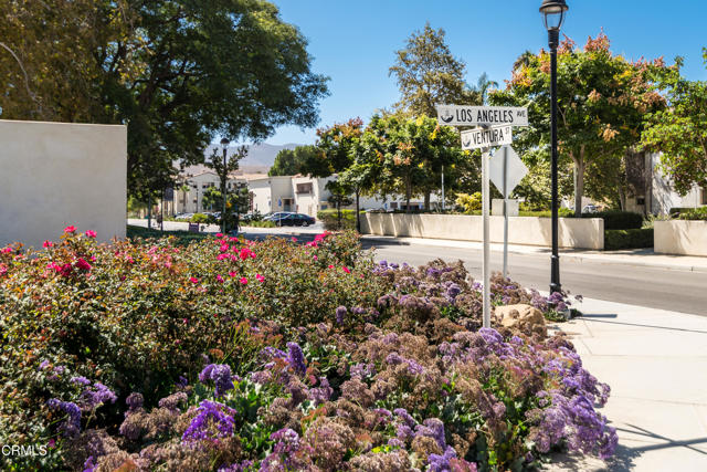 93 Flora Vista Avenue, Camarillo CA: https://media.crmls.org/mediaz/6c0f05b9-b406-4cfd-b296-ec7ddcd08757.jpg