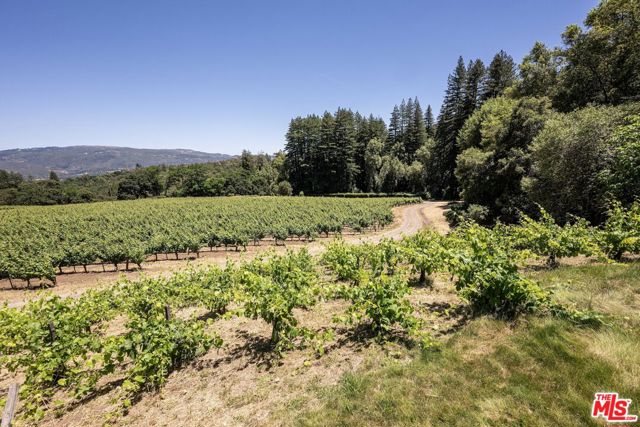 7596 Sonoma Mountain Road,  CA: https://media.crmls.org/mediaz/6c0f2993-0ad4-4268-a992-83c59b273faf.jpg
