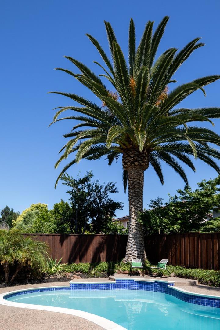https://media.crmls.org/mediaz/6c11e9c2-01f2-49ae-a692-1f4b49b36581.jpg?preset=X-Large