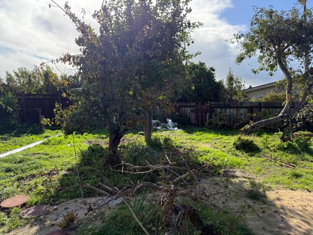 604 Ester Way, Watsonville CA: https://media.crmls.org/mediaz/6c14b7af-64f8-455b-95a2-394b7f8b9e41.jpg