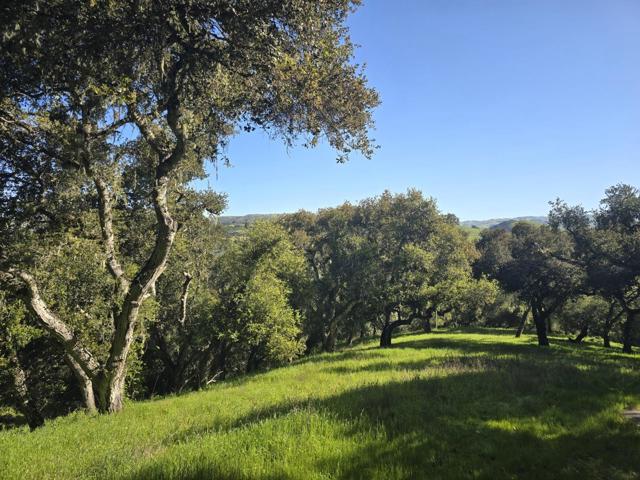 16 SLEEPY HOLLOW DRIVE, Carmel Valley CA: https://media.crmls.org/mediaz/6c14feec-7606-4716-863f-e64410dd634c.jpg