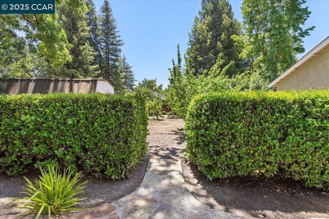 115 Saint Jean Ct, Danville CA: https://media.crmls.org/mediaz/6c19cb90-f8cb-413e-b841-ff44ec007106.jpg