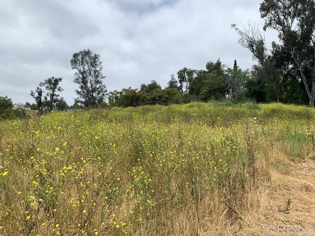 0 Rose Ranch Rd./Collado Ln, San Marcos, California 92069, ,Residential Land,For Sale,Rose Ranch Rd./Collado Ln,NDP2404487