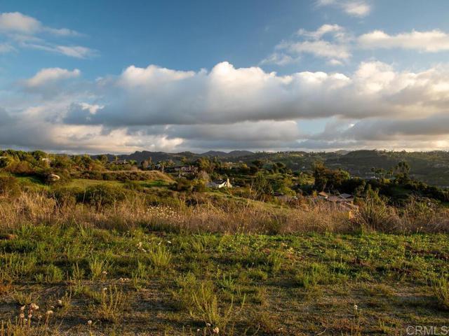 0 Chisholm Trail, Bonsall, California 92003, ,Land,For Sale,0 Chisholm Trail,CRNDP2400890