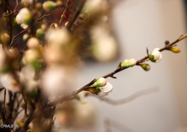 Detail Gallery Image 39 of 39 For 382 E California Bld #105,  Pasadena,  CA 91106 - 3 Beds | 2 Baths