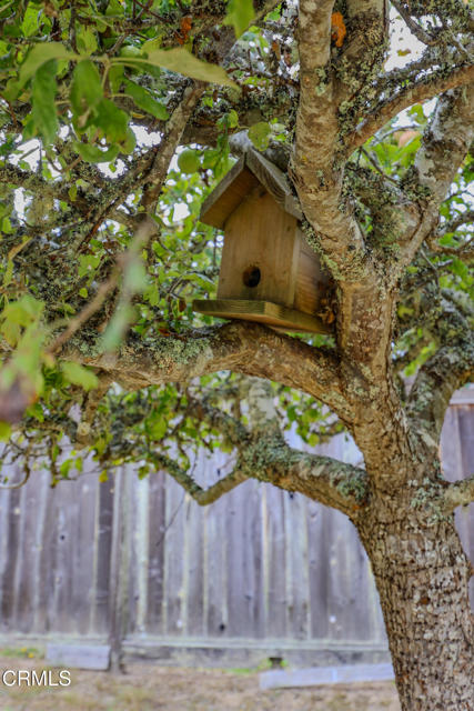 Detail Gallery Image 42 of 74 For 31600 Little Valley Rd, Fort Bragg,  CA 95437 - 3 Beds | 2 Baths