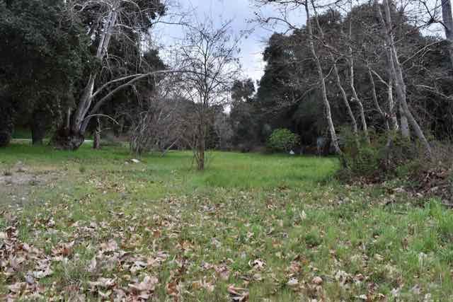 0 Corner of Nason and Cachagua Road, Carmel Valley, California 93924, ,Commercial Sale,For Sale,Corner of Nason and Cachagua,ML81904115