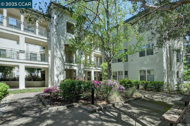 5910 Horsemans Canyon Dr, Walnut Creek CA: https://media.crmls.org/mediaz/6c38382c-07ff-4944-8800-982c169486ad.jpg