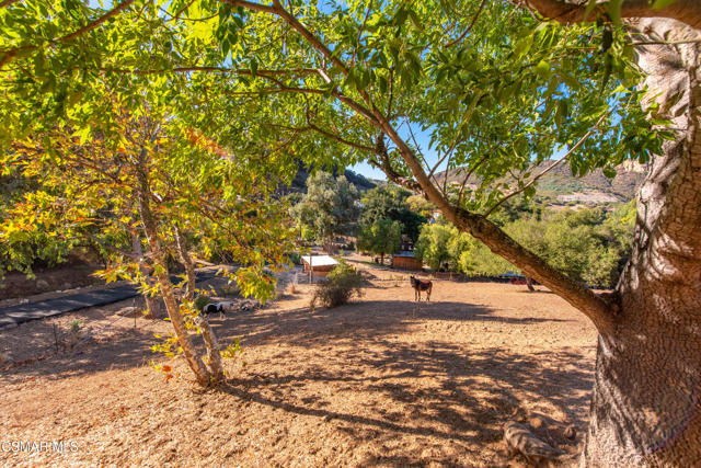 356 E Carlisle Road, Thousand Oaks CA: https://media.crmls.org/mediaz/6c432e0b-ab03-4e48-9f4d-fb7f1611df24.jpg