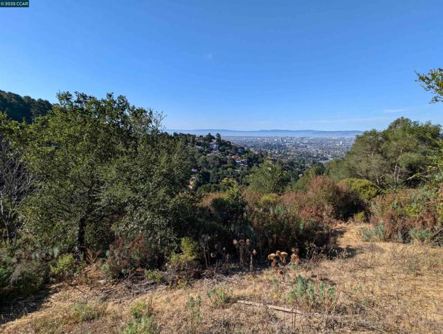 5 Besito Ave. @ Drury Rd., Oakland CA: https://media.crmls.org/mediaz/6c434f0c-b036-47ea-ac49-d925bab16247.jpg