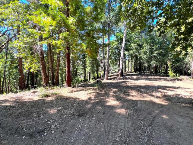 0 E Hilton, Boulder Creek CA: https://media.crmls.org/mediaz/6c44fc08-e7b8-4725-b324-a9a46d79b960.jpg