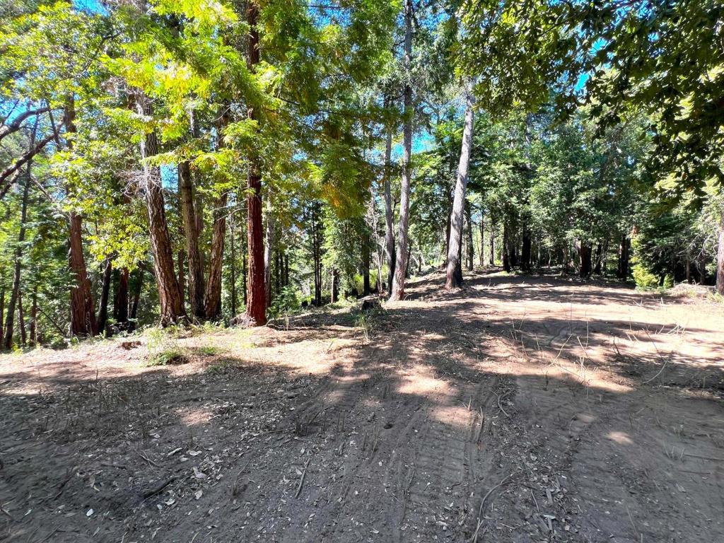 MLS #ML81973209 image #25