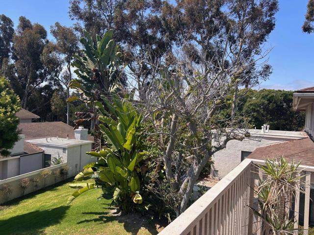 3869 Camino Lindo, San Diego CA: https://media.crmls.org/mediaz/6c4d5f5f-e0f0-460d-93ca-0939dbe99a69.jpg
