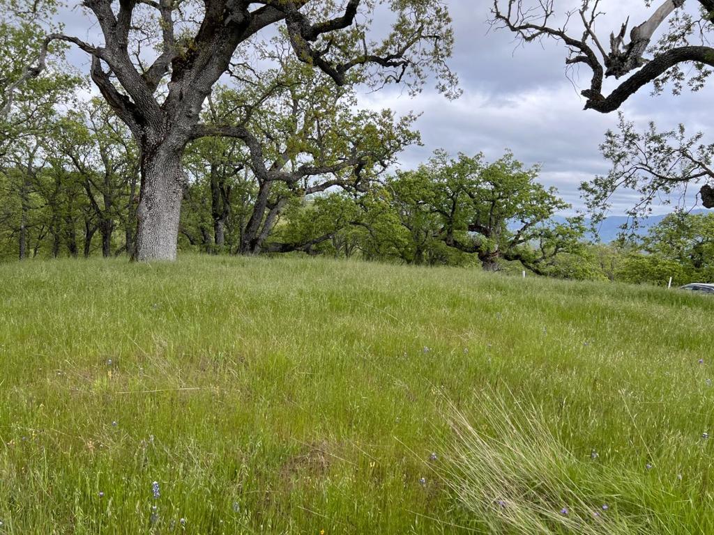 MLS #ML82007500 image #9