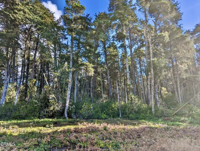 Detail Gallery Image 16 of 18 For 43535 Comptche Ukiah Rd, Mendocino,  CA 95460 - – Beds | – Baths