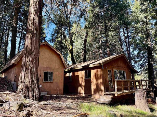 Home for Sale in Palomar Mountain