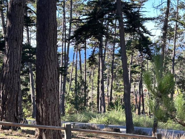 4021 Sunridge Road, Pebble Beach CA: https://media.crmls.org/mediaz/6c650193-5ffd-4b7e-8b51-25dc142177c0.jpg