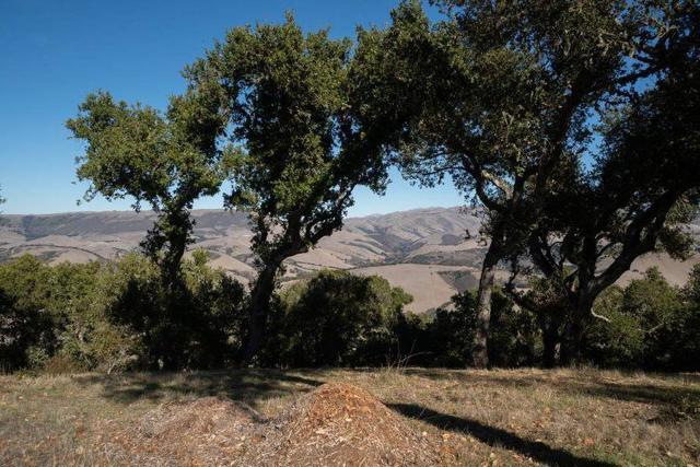 17114 Cachagua Road, Carmel Valley CA: https://media.crmls.org/mediaz/6c652865-b294-48d1-84eb-1f1a6486c48a.jpg