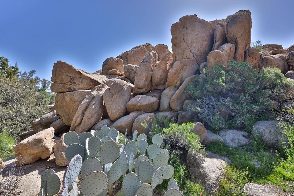 MLS #250037879SD image #10