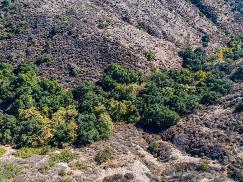 MLS #250022588SD img 15