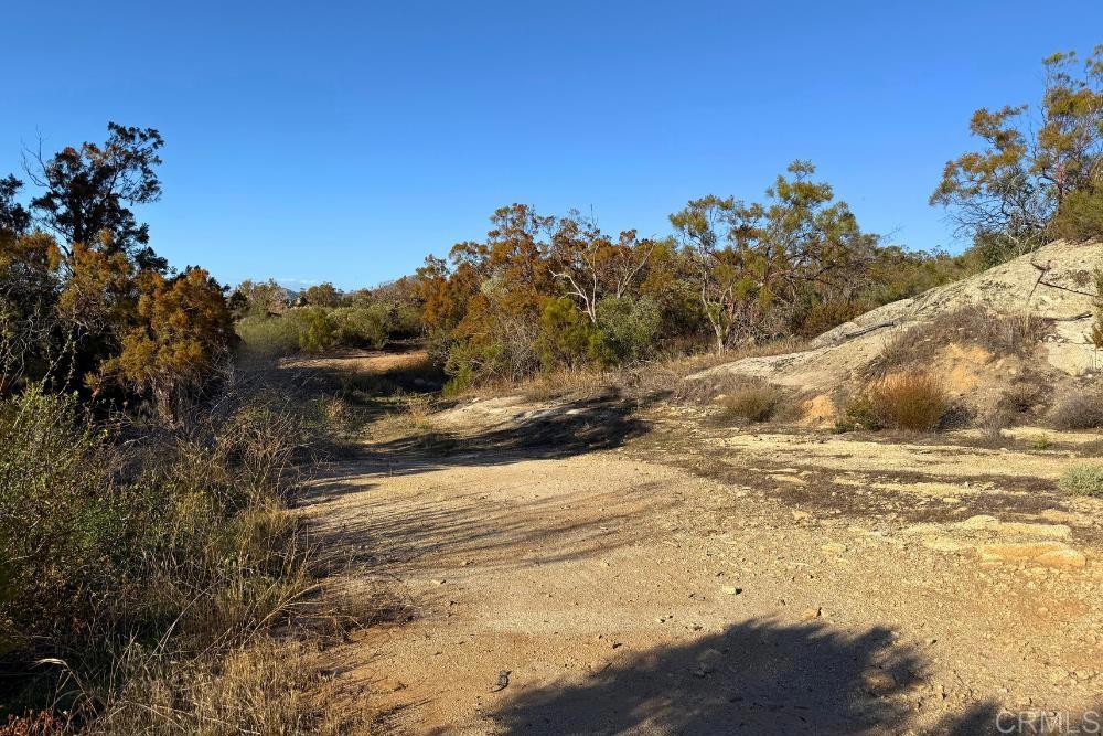 MLS #PTP2507282 image #18