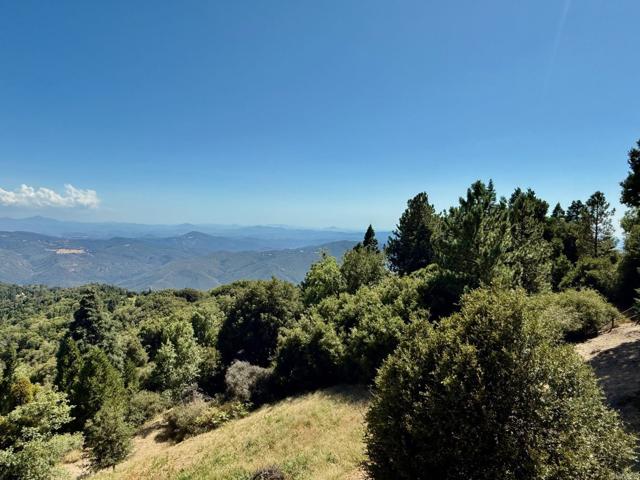 Detail Gallery Image 21 of 47 For 32771 Birch Hill Rd, Palomar Mountain,  CA 92060 - 2 Beds | 2 Baths