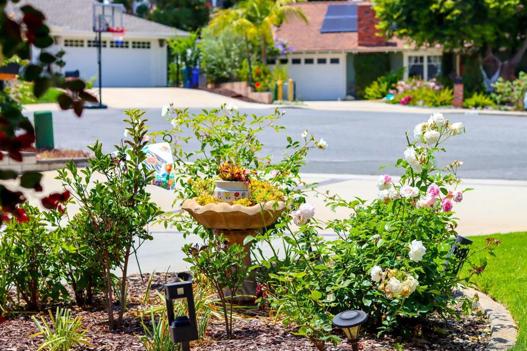 1561 Sandalwood Ln - photo 4