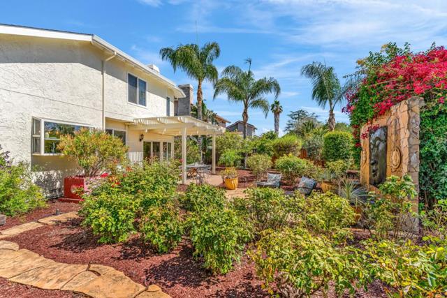 2903 Mitton Drive, San Jose CA: https://media.crmls.org/mediaz/6c98533f-123b-41b9-9f91-91dc1ed2786f.jpg