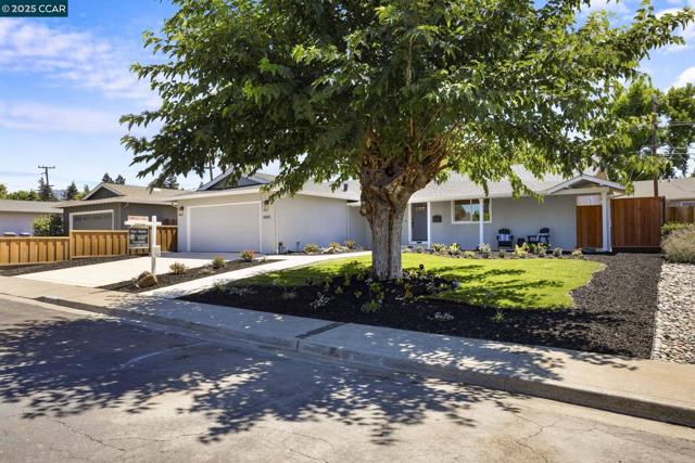 4650 Regina Ln, Concord CA: https://media.crmls.org/mediaz/6c9a14d4-5382-4529-a3d6-b5d473bd66af.jpg