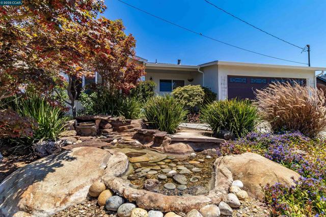 1349 Montana Dr, Concord CA: https://media.crmls.org/mediaz/6c9dabe4-d12f-471a-ab62-c9a5dbe53185.jpg