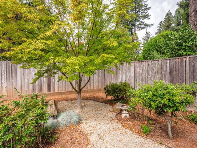 Image 46 of 65 For 251 Sunnycroft Road
