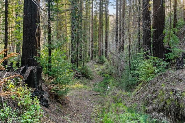 21200 Big Basin Way, Boulder Creek CA: https://media.crmls.org/mediaz/6ca79db9-da57-4efd-b2db-748f9dcc2b9f.jpg