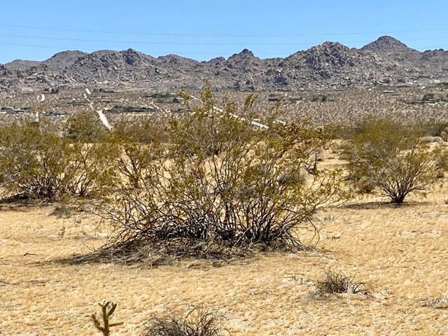 Details for 102 Rice Avenue, Joshua Tree, CA 92252